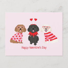 Happy Valentines Day Maltipoo Hunde Postkarte