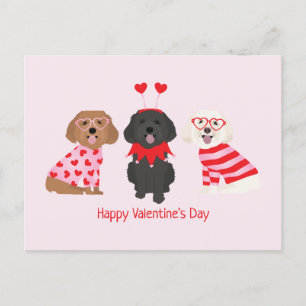 Happy Valentines Day Maltipoo Hunde Postkarte