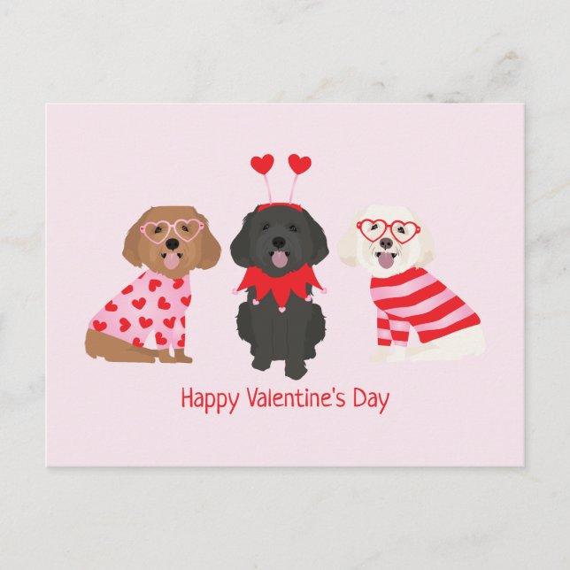Happy Valentines Day Maltipoo Hunde Postkarte (Vorderseite)