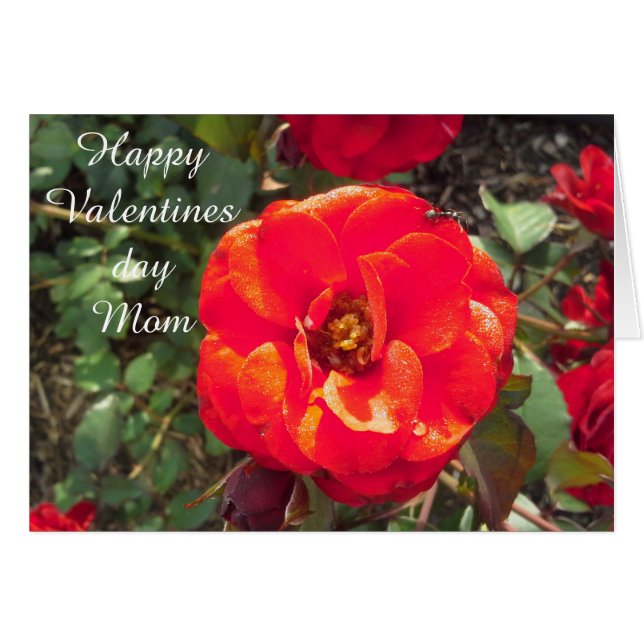 HAPPY VALENTINES DAY MAMA Card (Vorderseite (Horizontal))