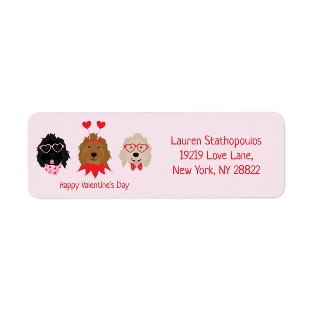 Happy Valentines Day Mini Goldendoodle Hunde (Vorne)