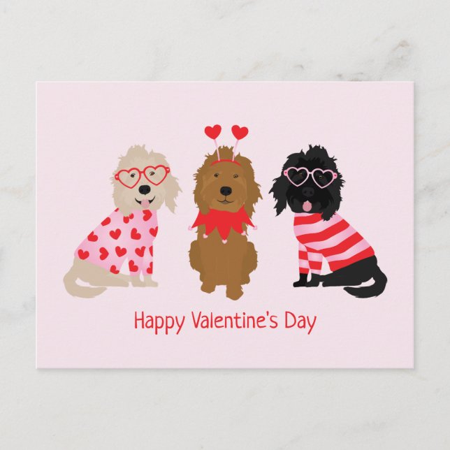 Happy Valentines Day Mini Goldendoodle Hunde Postkarte (Vorderseite)