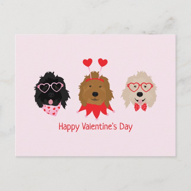 Happy Valentines Day Mini Goldendoodle Hunde Postkarte (Vorderseite)