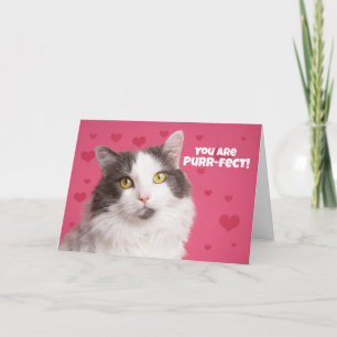 Happy Valentine's Day Niedlich Cat with Hearts Feiertagskarte