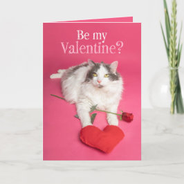 Happy Valentines Day Niedliche Katze mit Herz Feiertagskarte