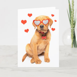 Happy Valentine's Day Red Fox Labrador Puppy Spaß Feiertagskarte