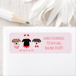 Happy Valentines Day Schnauzer Hunde