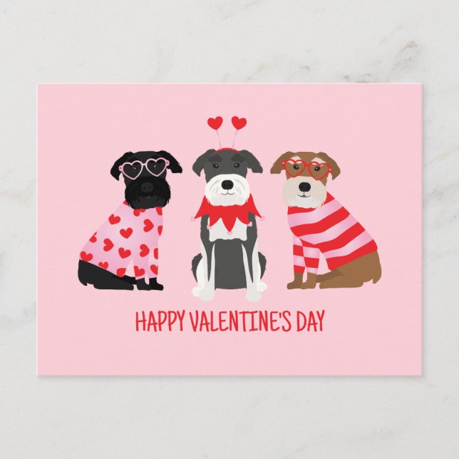 Happy Valentines Day Schnauzer Hunde Feiertagspostkarte (Vorderseite)