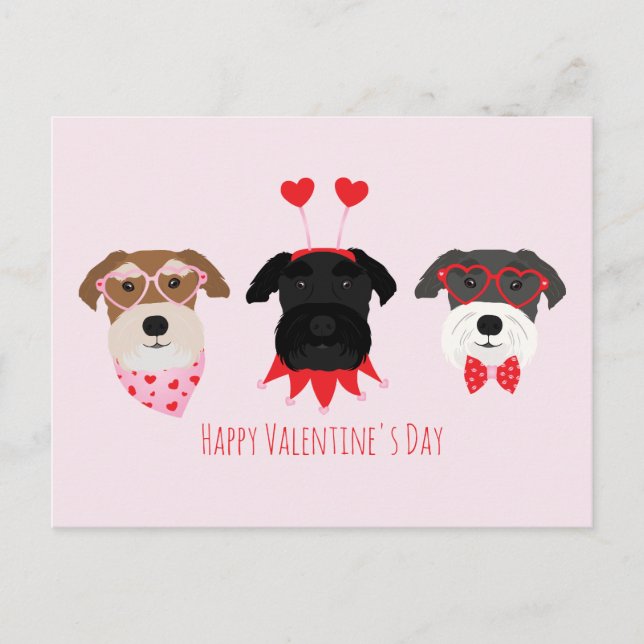 Happy Valentines Day Schnauzer Hunde Postkarte (Vorderseite)