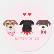 Happy Valentines Day Schnauzer Hunde