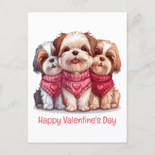 Happy Valentines Day Shih Tzu Dogs Postkarte