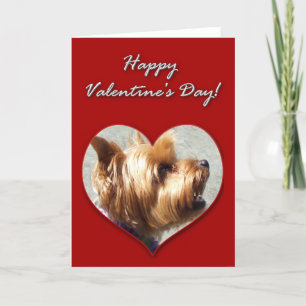 Happy Valentine's Day Yorkshire Terrier Card Feiertagskarte