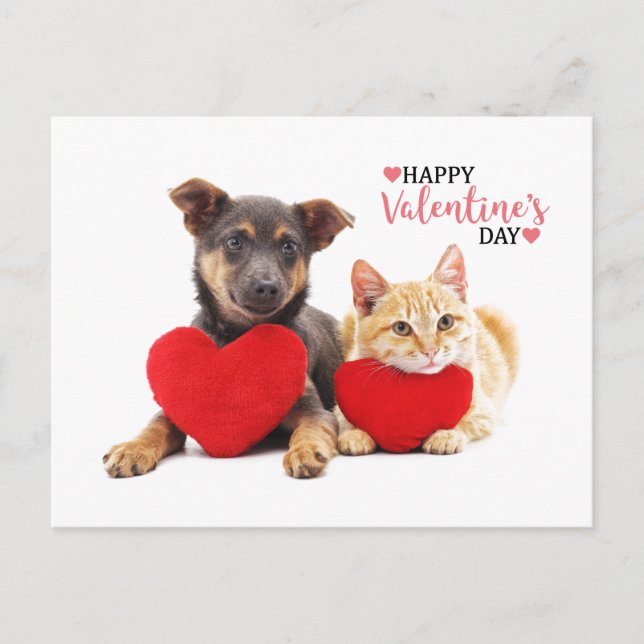 Happy Valentine's Hund und Katze Feiertagspostkarte (Vorderseite)