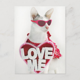 Happy Valentins Postkarte von Skeezix, der Katze