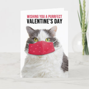 Happy Valentinstag Große Katze in der Maske Feiertagskarte
