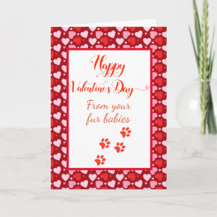 Happy Valentinstag von Hunden Katzen Karte