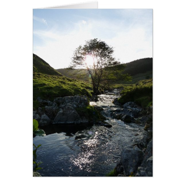 Happy Valley Northumberland, England (Vorne)