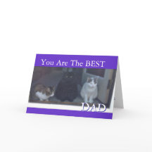 Happy Vatertag der Katzen