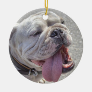 Happy White Bulldog Keramik Ornament
