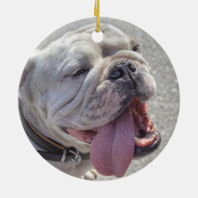 Happy White Bulldog Keramikornament (Hinten)