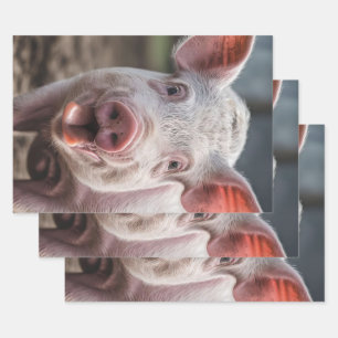 Happy White Pig Tongue Poke, Geschenkpapier Set