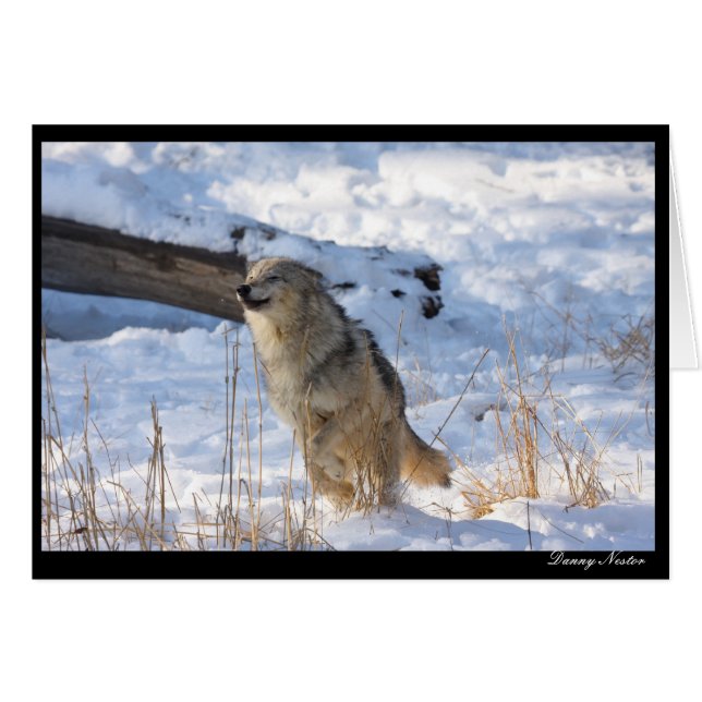 Happy Wolf (Vorderseite (Horizontal))