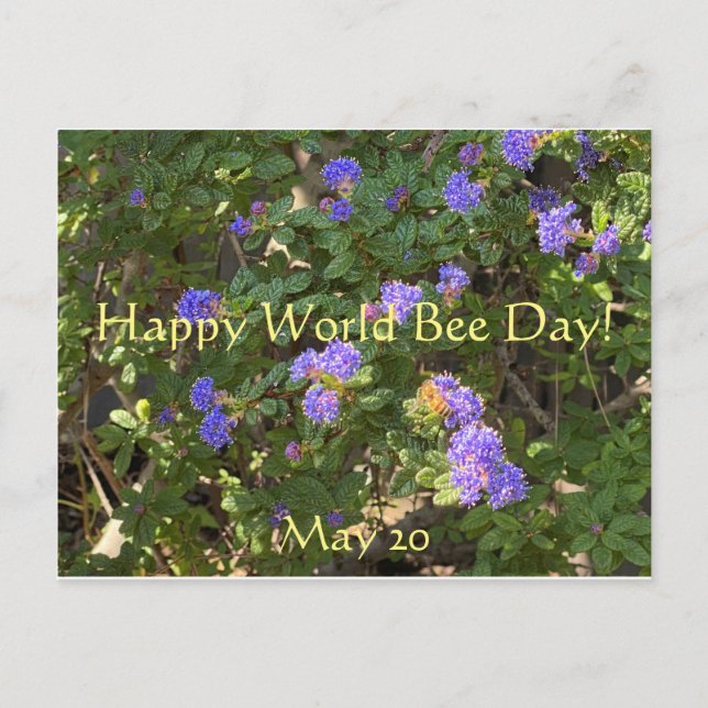 Happy World Bee Day! Postkarte (Vorderseite)