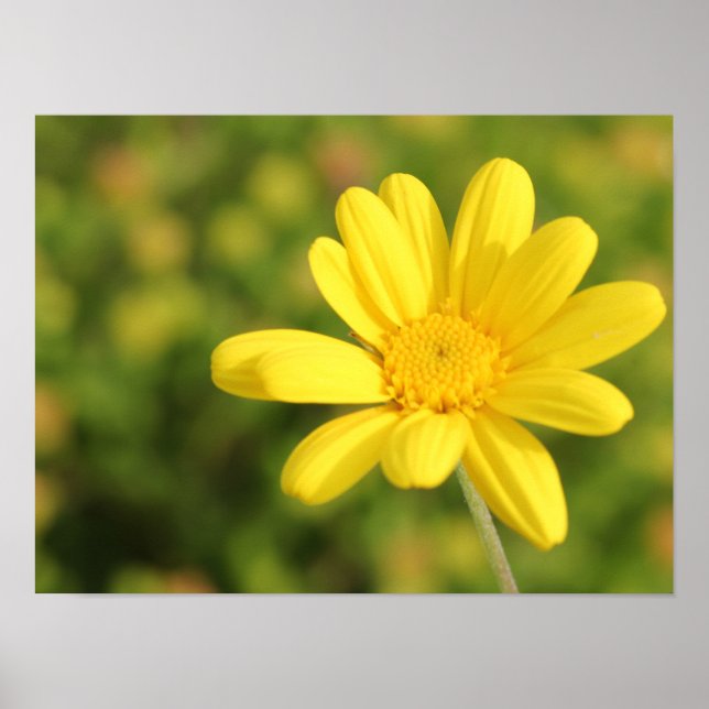 Happy Yellow Blume A3 Poster (Vorne)