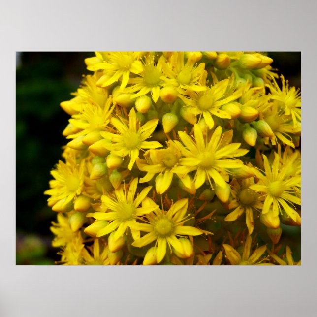 HappY YeLLoW-Poster Poster (Vorne)