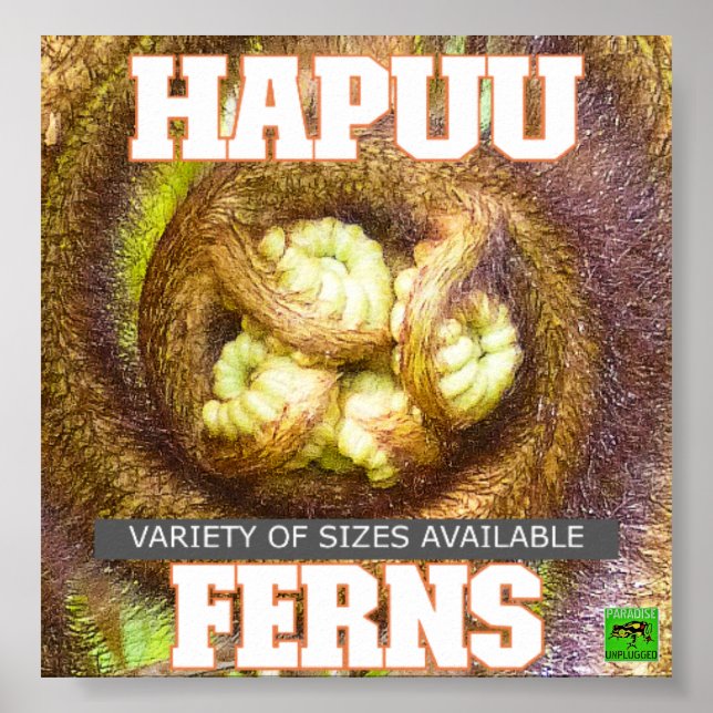 HAPUU FERNS BIG ISLAND HAWAII POSTER (Vorne)