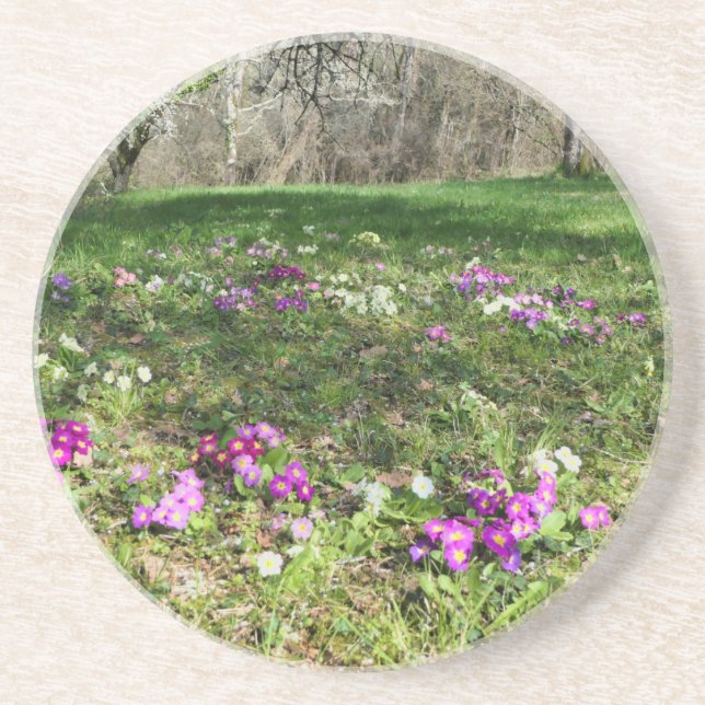 Harbinger of Spring Getränkeuntersetzer (Vorne)