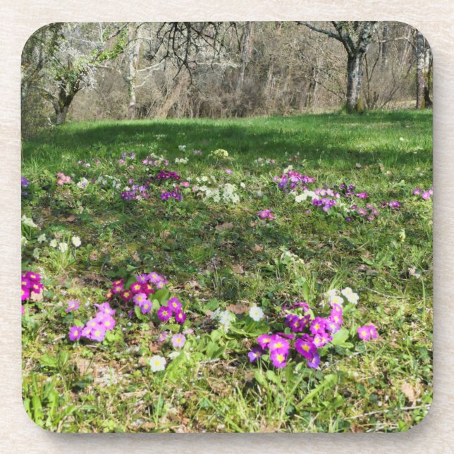 Harbinger of Spring Getränkeuntersetzer (Vorderseite)