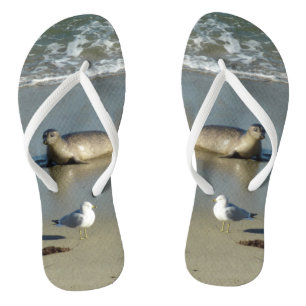 Harbour Siegel in La Jolla California Flip Flops