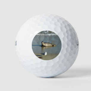 Harbour Siegel in La Jolla California Golfball