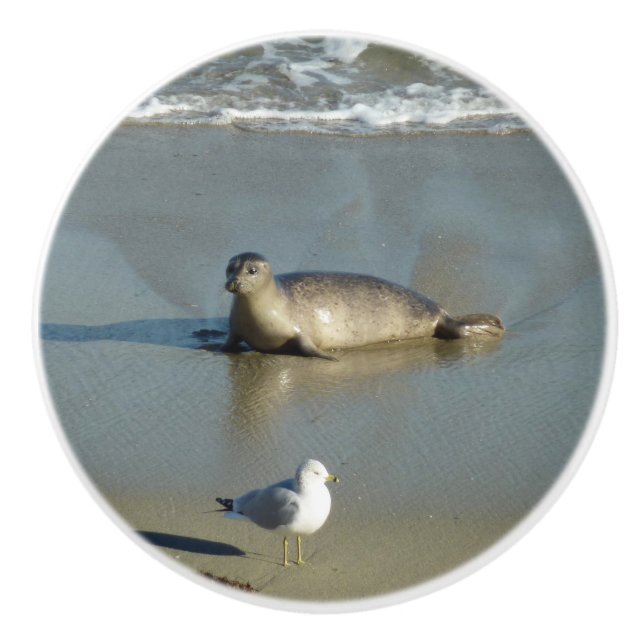 Harbour Siegel in La Jolla California Keramikknauf (Vorderseite)