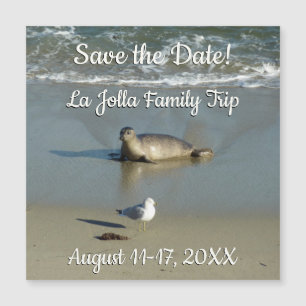 Harbour Siegel in La Jolla California Magnetkarte