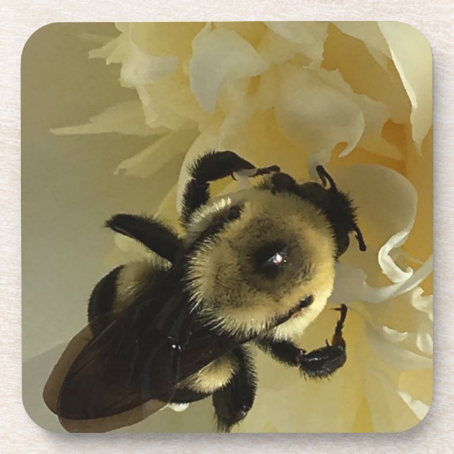 Hard plastic coaster bumblebee on peony flower getränkeuntersetzer (Vorderseite)