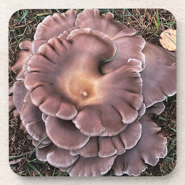 Hard plastic coaster Fungi Getränkeuntersetzer (Vorderseite)