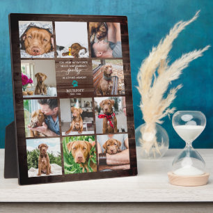 Hardest Goodbye   Haustier Erinnerungen 11 Foto-Co Fotoplatte