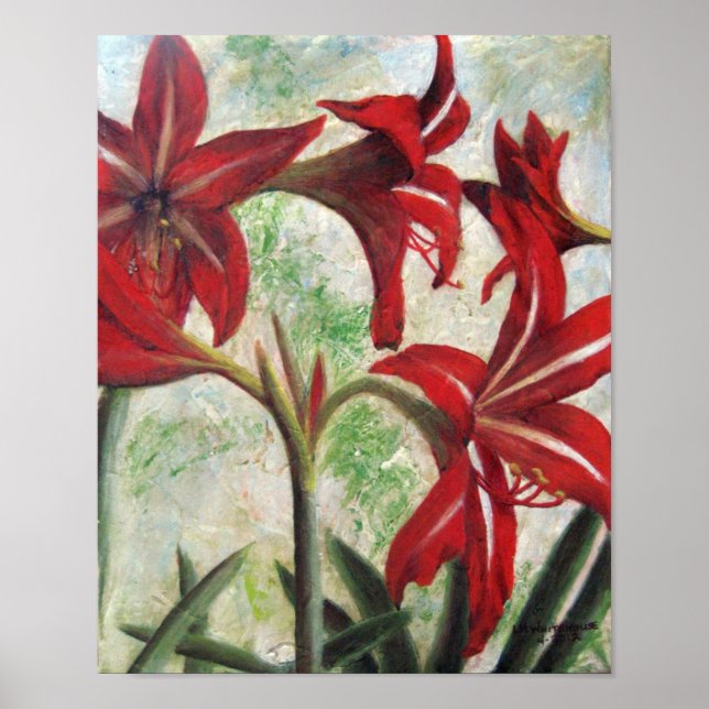 Hardy Amaryllis Poster (Vorne)