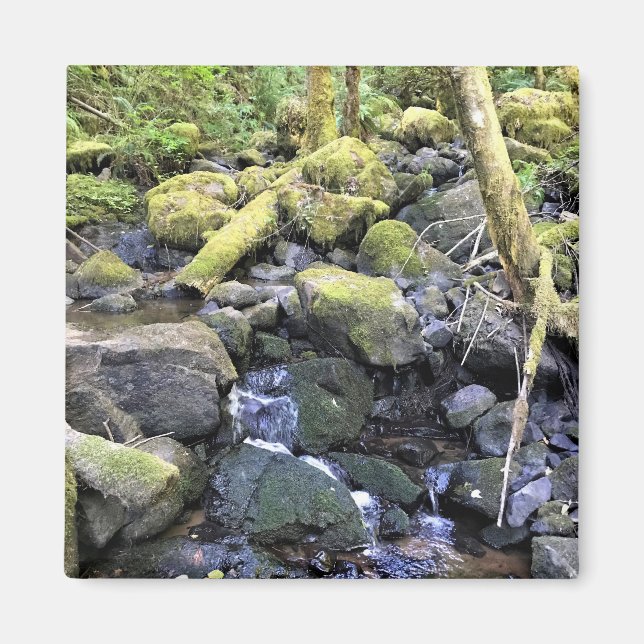 Hardy Creek, Oregon Magnet (Vorne)