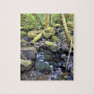 Hardy Creek, Oregon Puzzle