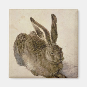 Hare, 1502 magnet