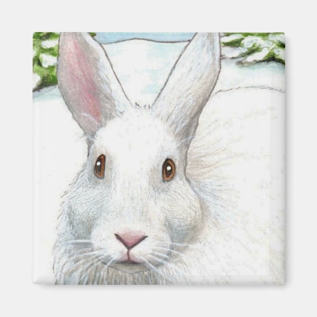 Hare 19 Magnet (Vorne)