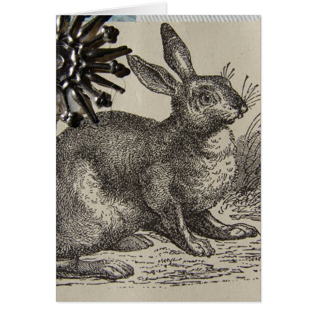 Hare ATC (Vorne)