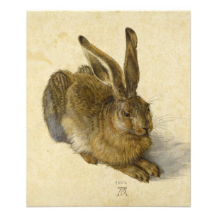 Hare by Albrecht Durer Fotodruck