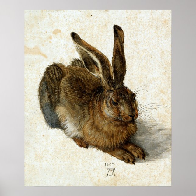 Hare by Albrecht Dürer Poster (Vorne)