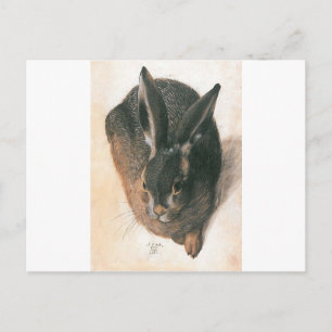 Hare by Albrecht Durer Postkarte