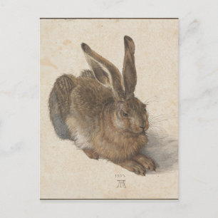Hare by Albrecht Durer Postkarte