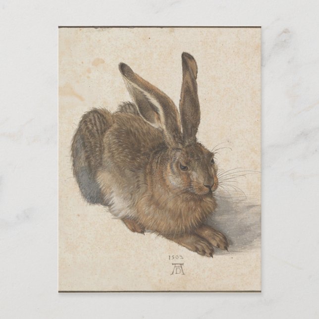 Hare by Albrecht Durer Postkarte (Vorderseite)